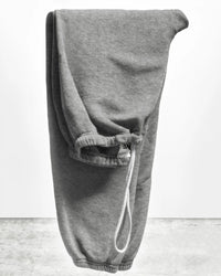 Free City Clothing Basic Goodness Lt Terry Fluff OG Sweatpant in Heather Yumm