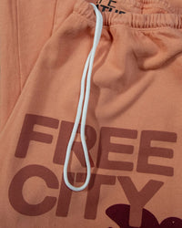 Free City Clothing FC Large Sweatpant in Canyon