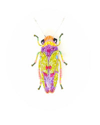 Trovelore Jewelry Sharpshooter Beetle Brooch Pin