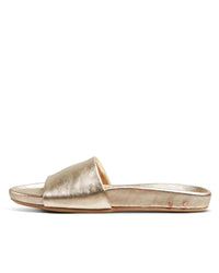 beek.. Gallito in Platinum