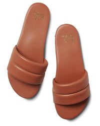 beek.. Sugarbird in Tan