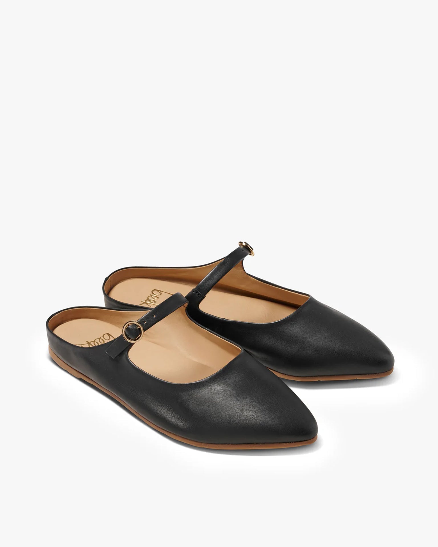 Swallow in Black