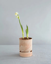 Bergs Potter Hoff Raw 3.1 inch Pot in Rosa