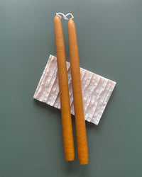 BOTANICA Taper Candle Pair, Ochre