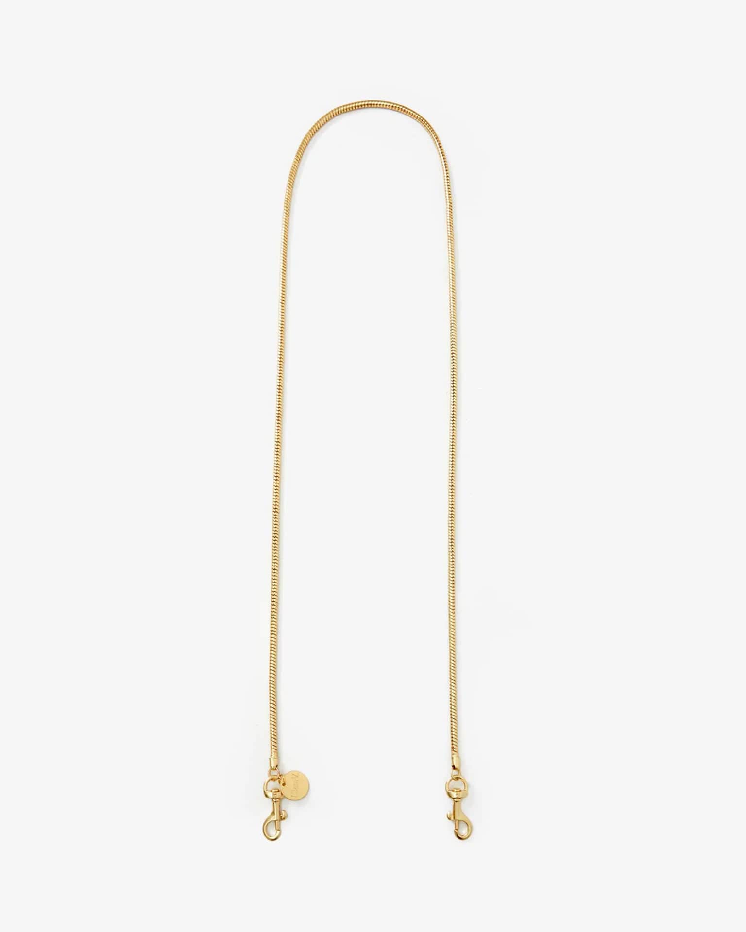 Clare V. Snake Chain Crossbody Strap in Vintage Gold