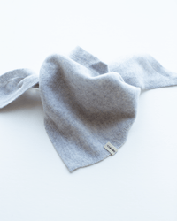 COLORI Small Triangle Bandana in Shark