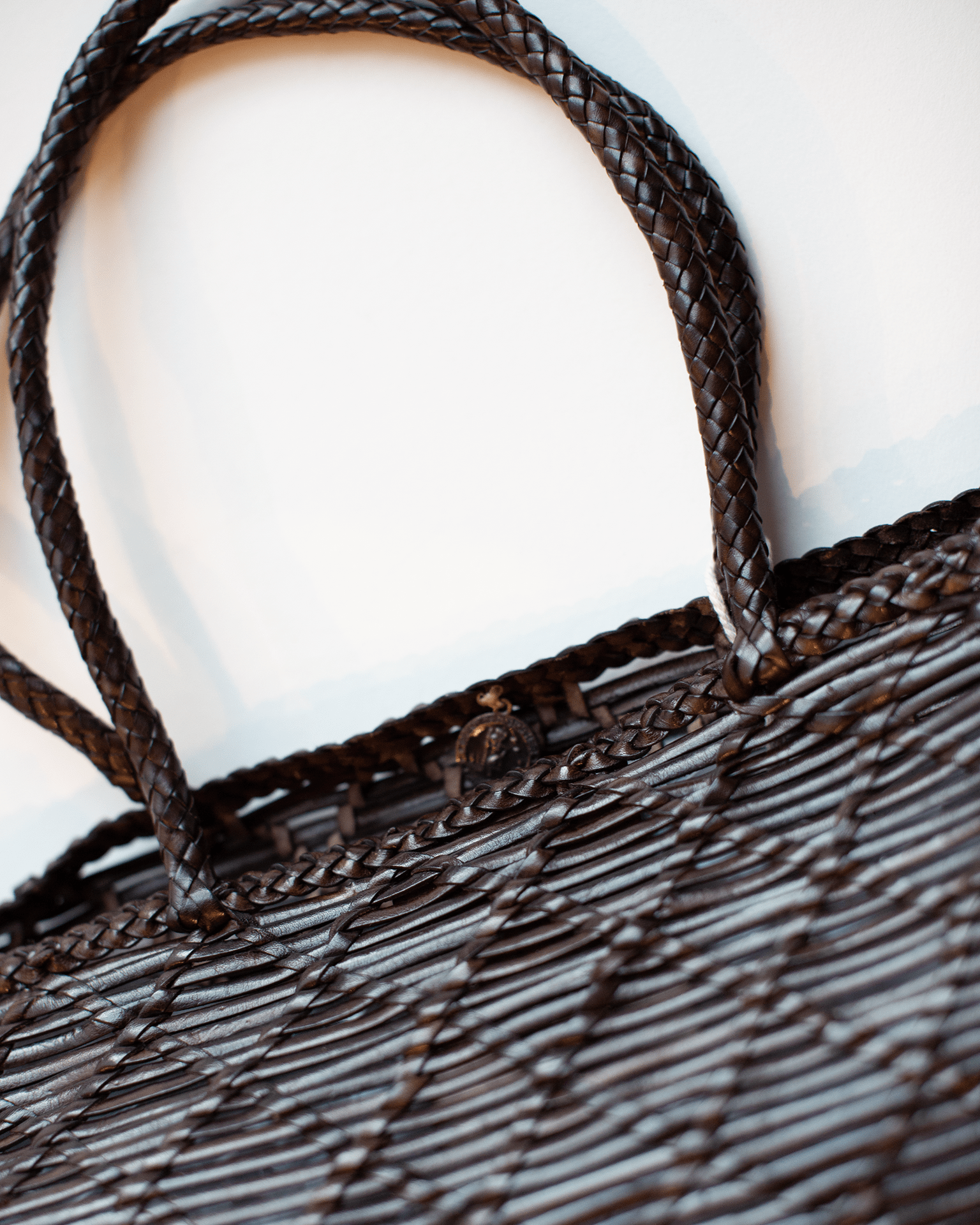 Dragon Diffusion Accessories Dark Brown EW Corso Bag in Dark Brown