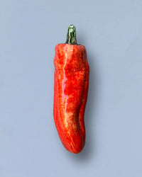 Eturel Madrid Home Ceramic Red Pepper Fry