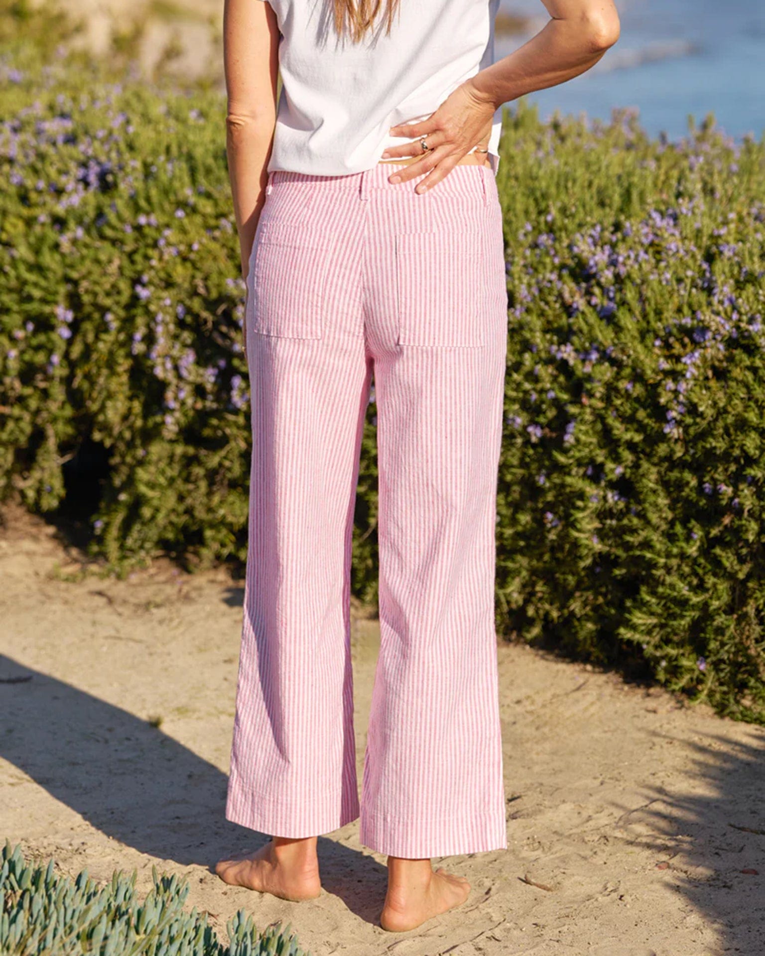 Frank & Eileen Wexford Trouser in Red Stripe