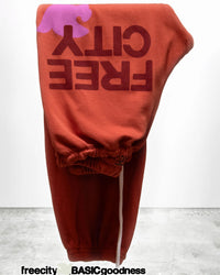 Free City FC Large Sweatpant in Burn Orange 1 - Bliss Boutiques