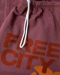 Free City FC Large Sweatpant in Hunkydory