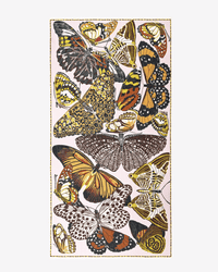 Inoui Editions Scarf / Etole 100 Papillons in Nude 2 - Bliss Boutiques
