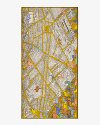 Inoui Editions Accessories Yellow Scarf / Etole 100 Turgot in Yellow