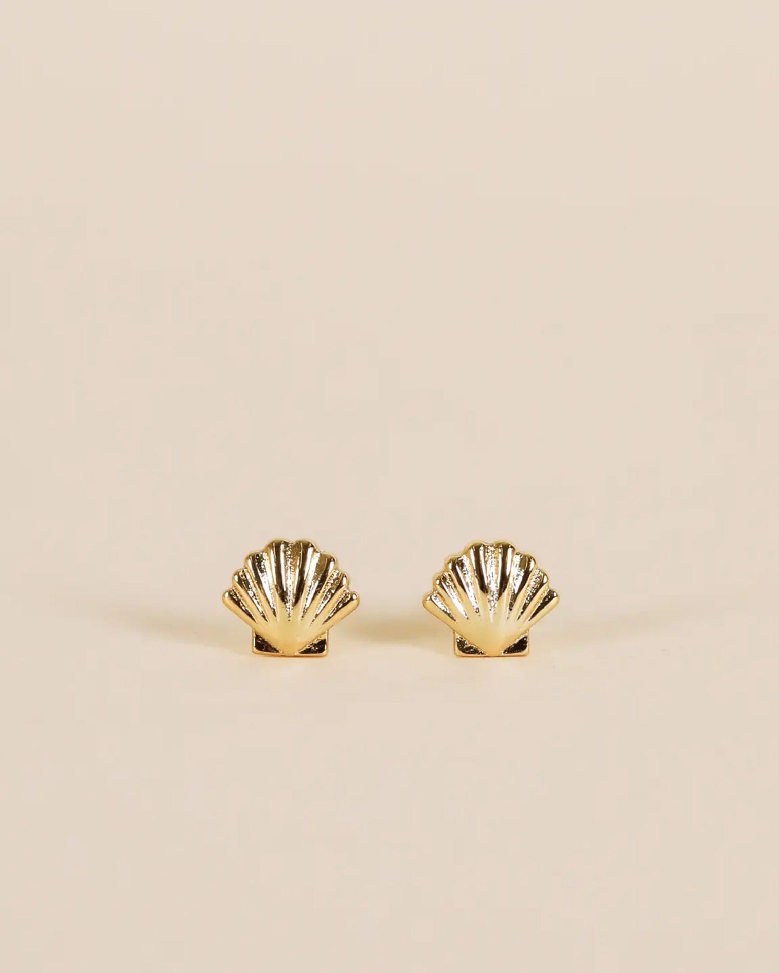 JaxKelly Seashell - Gold Earrings