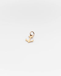 Nashelle Identity Mini Shape Anchor in Gold Fill