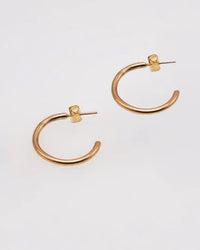 Nashelle Medium Everyday Hoops in 14k Gold Fill