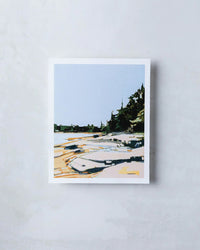 Sarah Madeira Day Fernald Cove Rose | Print on Canvas | unstretched