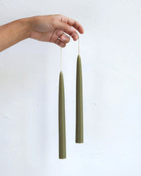 The Floral Society Bayberry Taper Candles
