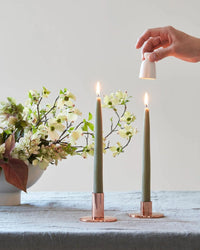 The Floral Society Bayberry Taper Candles