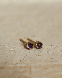 Token Jewelry Jewelry 14K Gold Fill February Birthstone Studs in 14K Gold Fill