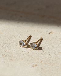 Token Jewelry March Birthstone Studs in 14K Gold Fill