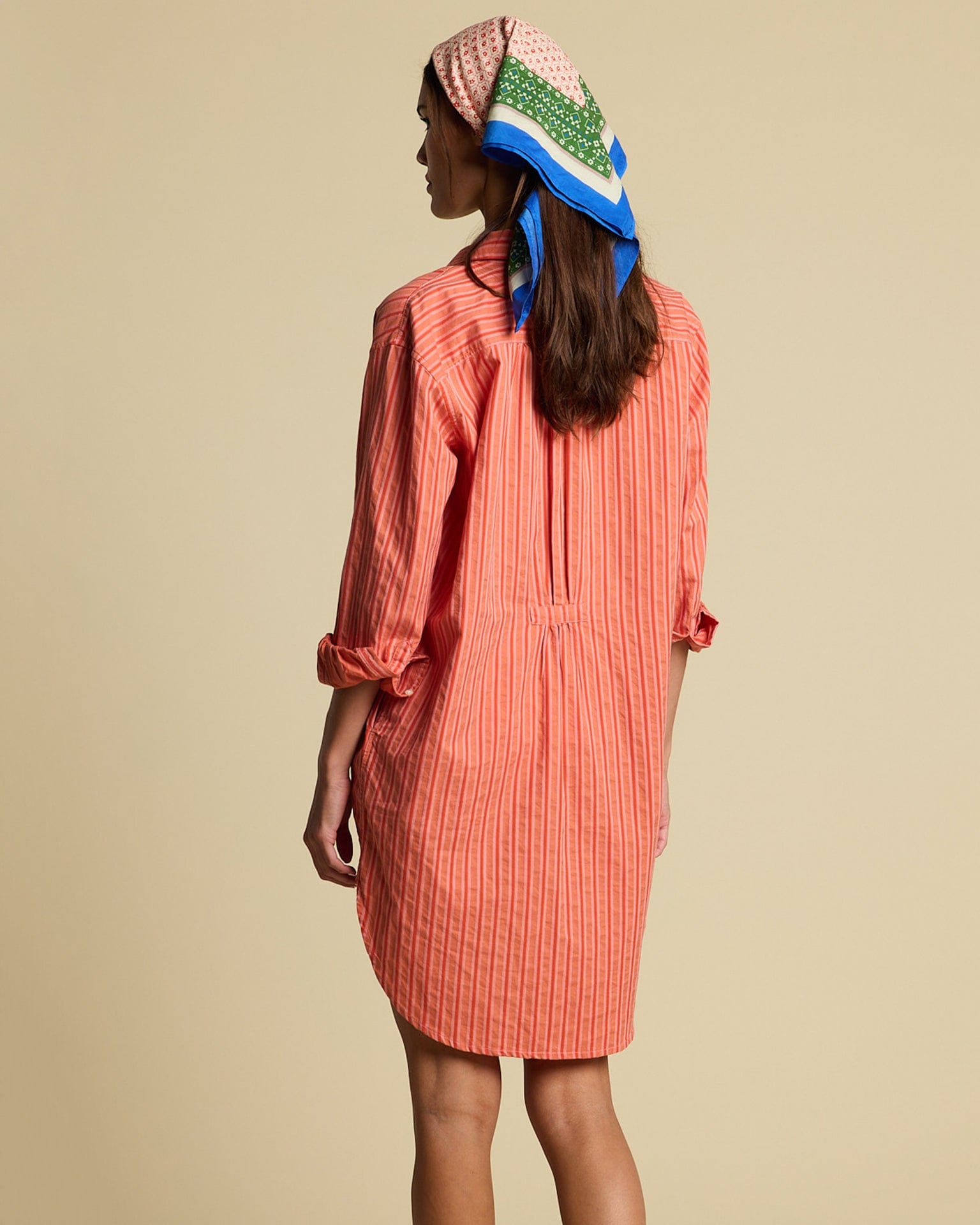 Trovata Birds of Paradis Callie Shirtdress in Terracotta Stripe