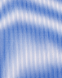 Trovata Birds of Paradis Sara B Henley Shirt in Blue/White Stripe