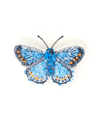 The Trovelore Adonis Blue Butterfly Brooch Pin is a handmade accessory from India, featuring realistic black, white, and orange hand-embroidered wing details, displayed on a white background.