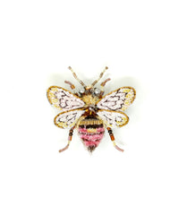 The Trovelore Bombus Bee Brooch Pin is a hand-embroidered accessory with pink, gold, and white beaded details on its wings and body, beautifully handmade in India and shown on a plain white background.