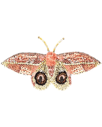 Trovelore Dognin's Bullseye Moth Brooch Pin