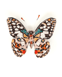 The Trovelore Lime Swallowtail Butterfly Brooch Pin, handmade in India, features vibrant orange, teal, red, white, and black beads and embroidery. Displayed on a white background.