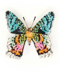 Trovelore Madagascar Sunset Moth Brooch Pin