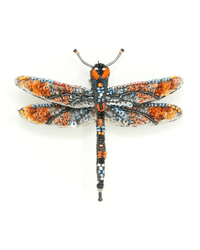 The Trovelore Orange Dragonfly Brooch Pin features hand embroidery with blue, silver, and black sequins and beads on a white background. Its detailed wings and body create a shimmering, lifelike effect.
