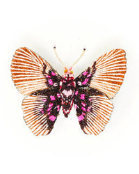 Variable False Acraea Butterfly Brooch Pin - Bliss Boutiques