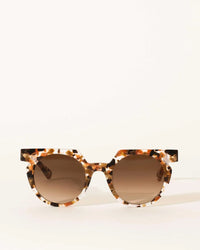 Wolfspout Aster in Terra Fawna Large Tortoise