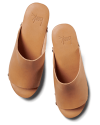 beek.. Peacock in Honey