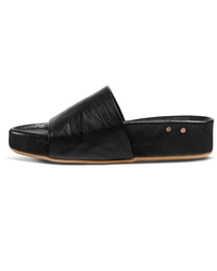 beek.. Pelican in Black