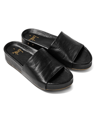 beek.. Pelican in Black