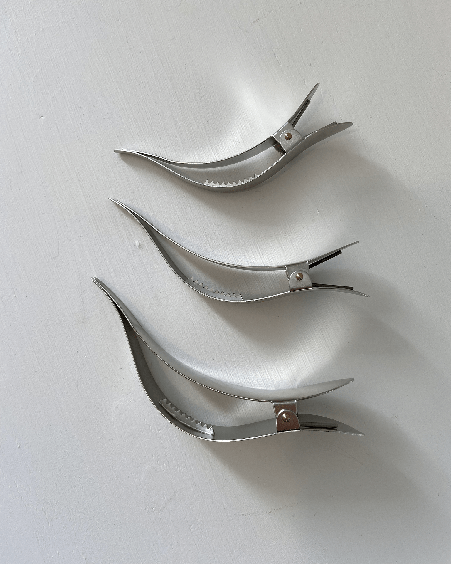 Ficcare Classical Maximas Small in Silver Matte