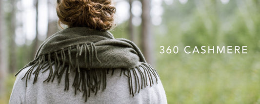 360 Cashmere > Pullover