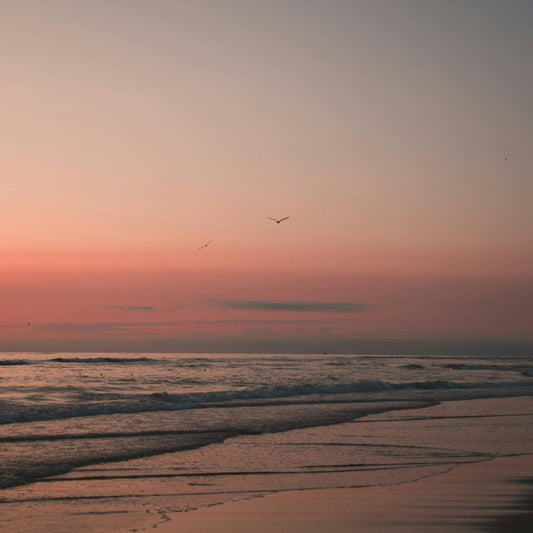The Summer Sunset Sale