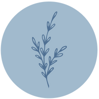 logo of Bliss - Women's Clothing Boutique In Maine and New Hampshire