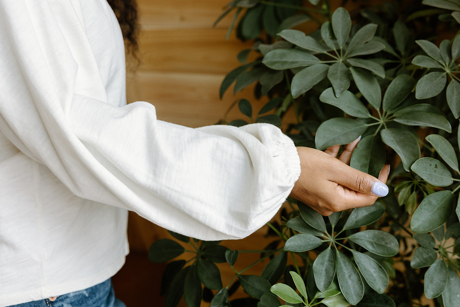 Person in a white shirt touching the leaves of a green plant.