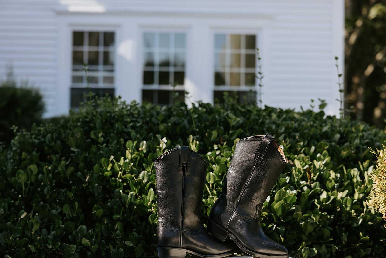 FRYE Favorites