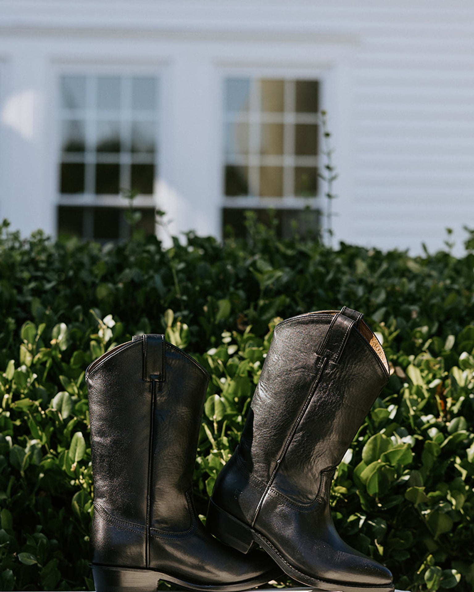 FRYE Favorites