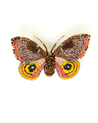 A colorful beaded Eye Oh Moth Brooch Pin artwork, styled as handmade brooches, against a white background by Trovelore.