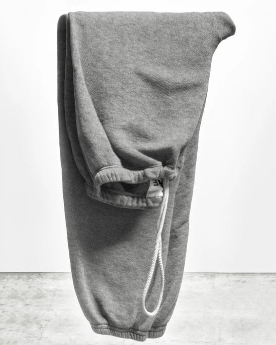 Free City Basic Goodness Lt Terry Fluff OG Sweatpant in Heather Yumm 