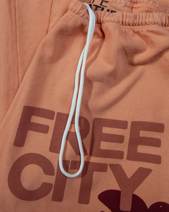 Free City FC Large Sweatpant in Canyon 