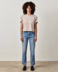 NSF Harper Boxy Slub Jersey Tee in Faded Taupe 