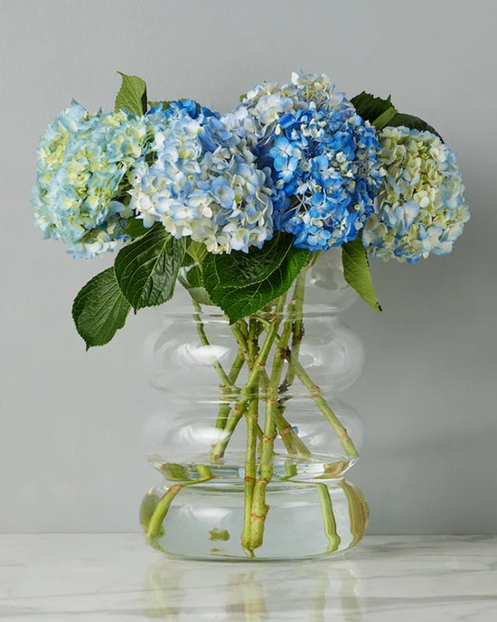 etúHOME Scalloped Flower Vase 